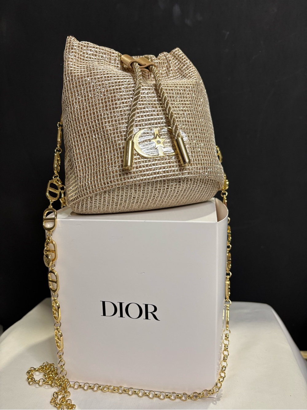 Dior Metallic Gold Drawstring Micro Bucket Bag